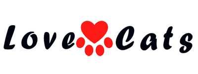 Cats Lovers | Cats News