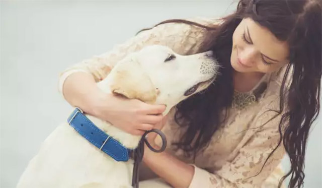 How to Teach Your Dog to Sit on Command